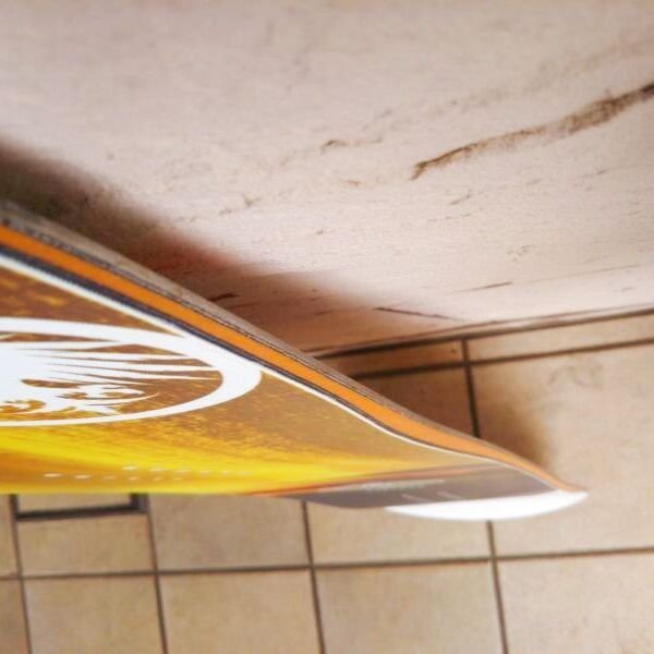 画像3: 2020-21モデル　【NEVER SUMMER】　HARPOON　 (3)